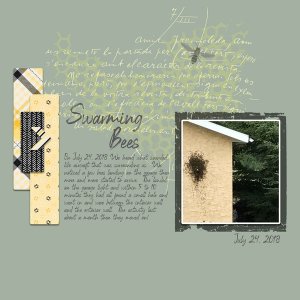 GS Brush Challenge June 2021