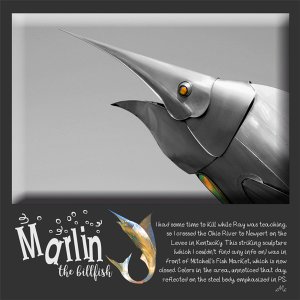 Spot Color: Marlin