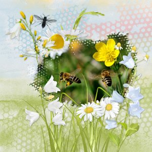 June 2021 - Brush Challenge with Alexis Design Studio