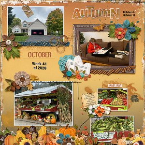 Week 41:  Focus on Autumn and School