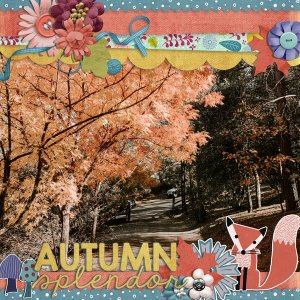 autumn splendor