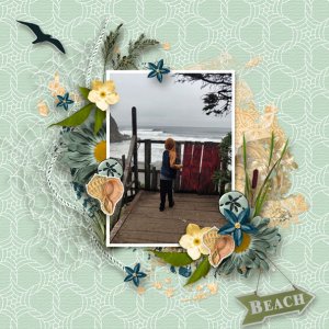 Beach Lovers