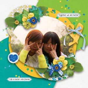 ScrapYourStoryFriends_kopie_776_ren