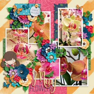 may flowers