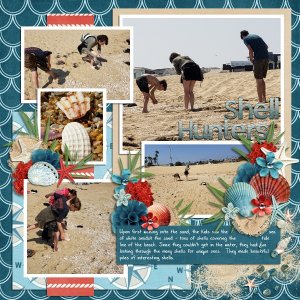 Newport Beach - Shell Hunters