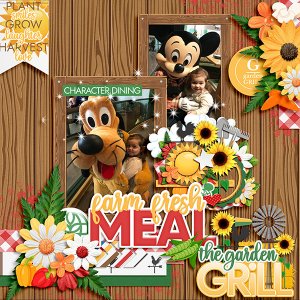 Garden Grill