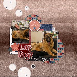 Lap Dog?