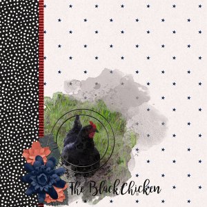 The Black Chicken