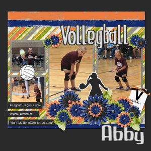 Volleyball