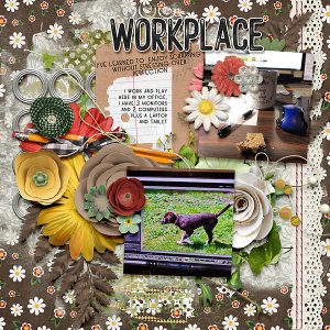 Workplace