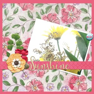 06-recipe1