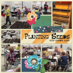 Planting Seeds