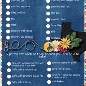 Photo Scavenger Hunt