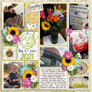 Week 22