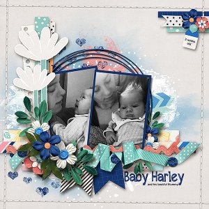Baby Harley
