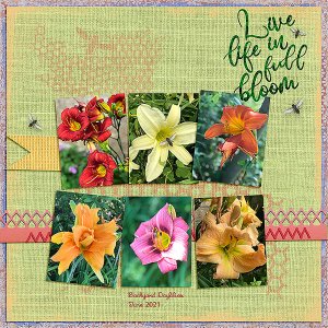 GSBrushCh621-BackyardDaylilies621