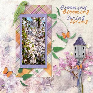 Blooming Spring