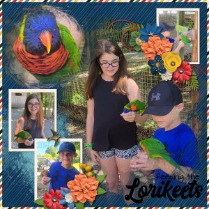 Lorrikeets