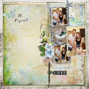 the proposal