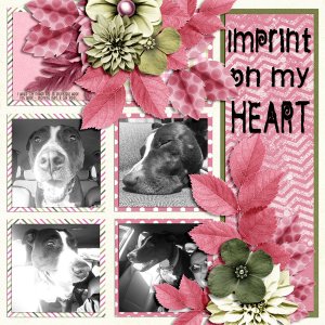 Imprint on my Heart