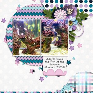 Juliette fish