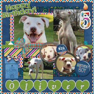 Happy Bday Oliver