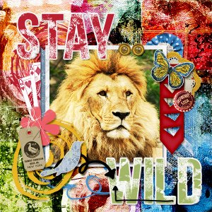 Stay Wild