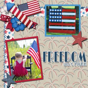 Freedom isnt Free