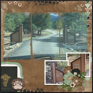 Colorado Cabin