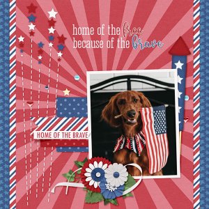 Home of the Brave
