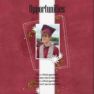 Opportunities