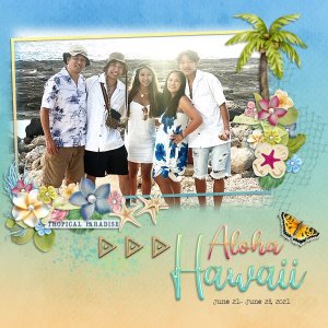 Aloha Hawaii