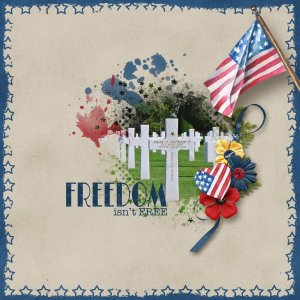 Freedom Isnt Free