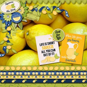 Make Lemonade