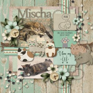Mischa Cat