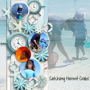 Hermit Crabs