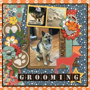 Mobile Grooming