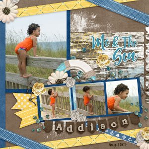 TB_Sea_and_Me_Kit-_Template_Ribbons_and_paper_Vol_16_4_1