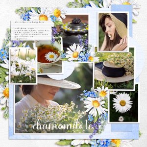 Chamomile Tea