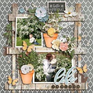 Life in bloom