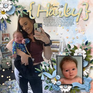 Precious Little Harley