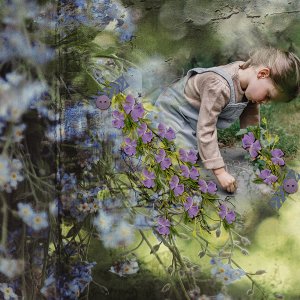 Garden Moments