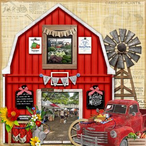 Farmer's Market-Kailua