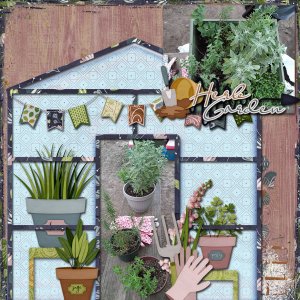 C-_Users_hichc_Desktop_aimeh_rosemarythyme_tcot_garden600