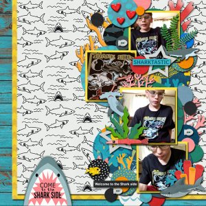 CMG_eekAshark_MFish_Bubbicious600