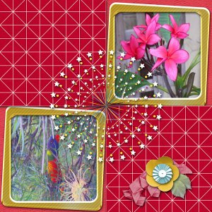 July-21-Minikit-web
