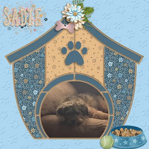 Sadie