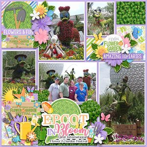 Flower + Garden Festival