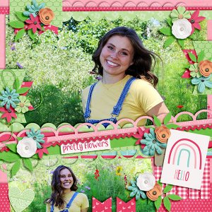 Pretty Flowers