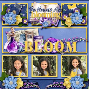 Bloom!